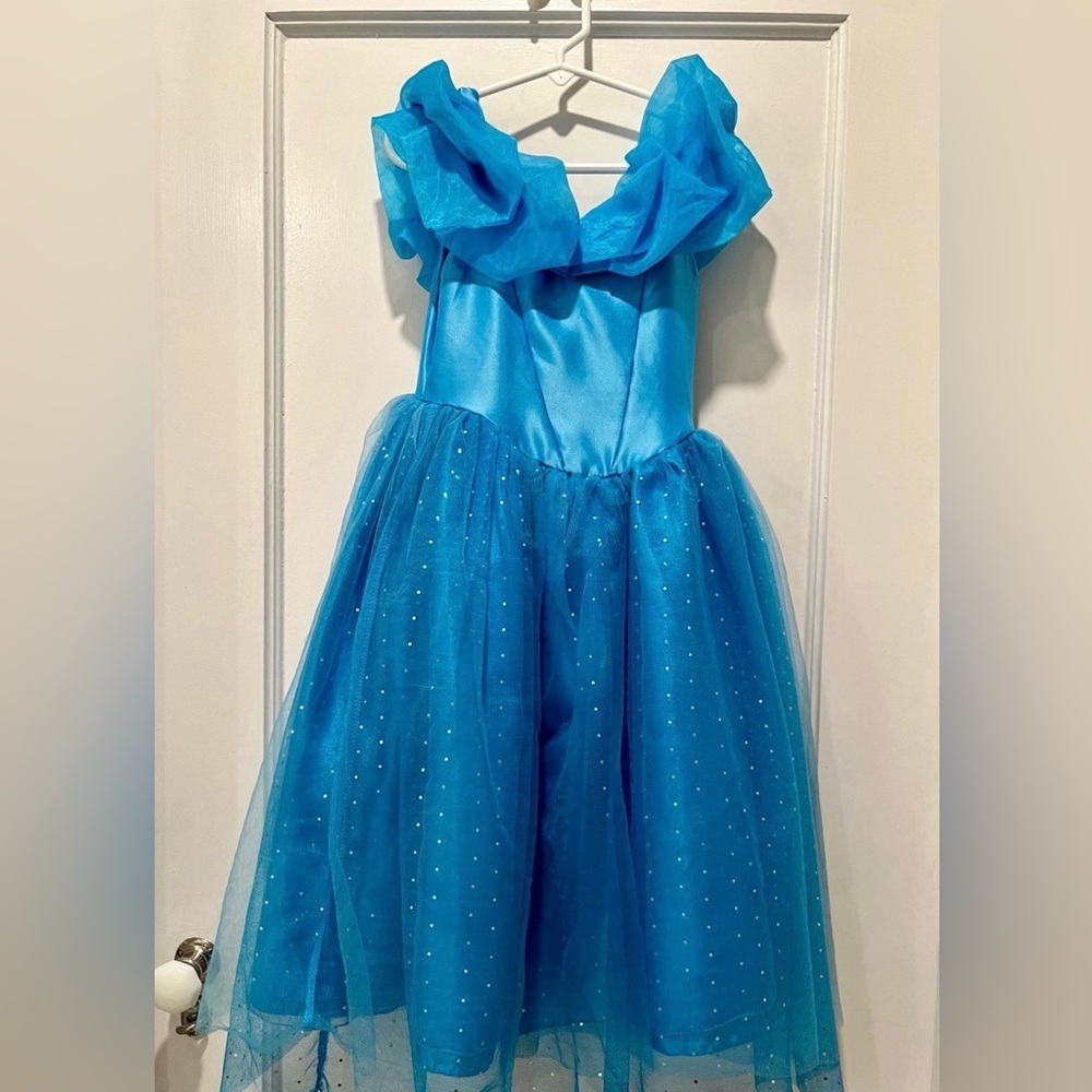 Cinderella Princess Tulle Dress Size 6 Set with Gloves and Tiara